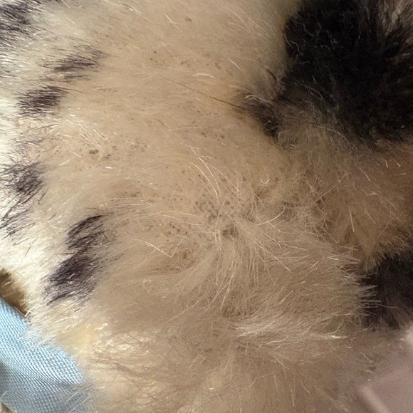 STEIFF SUSIE KITTY CAT - Picture 16 of 16